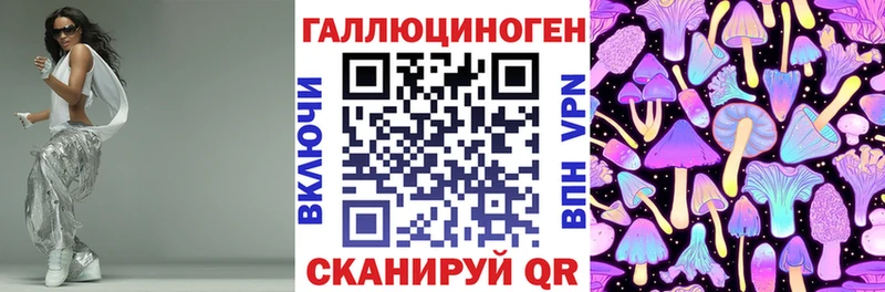 даркнет сайт  omg ссылка  Псилоцибиновые грибы Psilocybine cubensis  Курчалой 