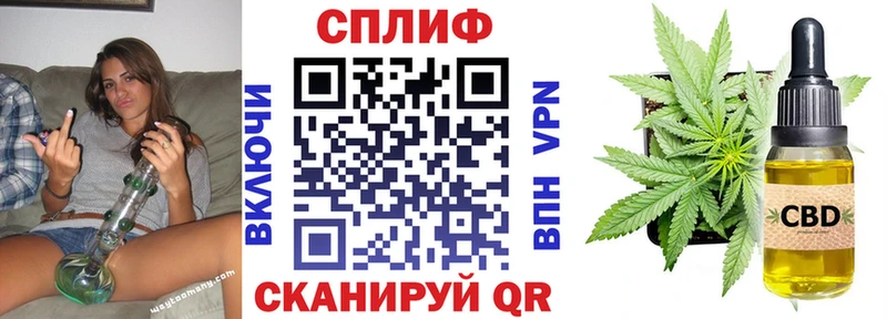 mega   Курчалой  Бошки марихуана сатива 